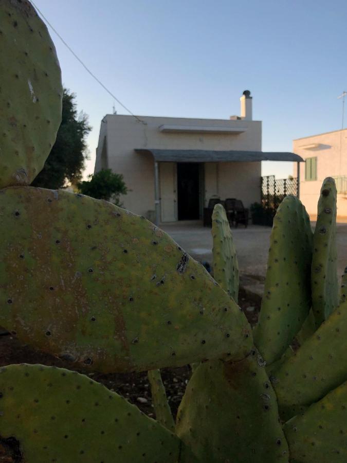 Da Annamare Villa Montalbano  Kültér fotó